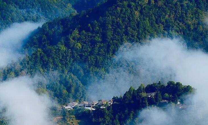 【熊猫体育】“禁炒令”不是状元“退热栓”(图2) 熊猫体育