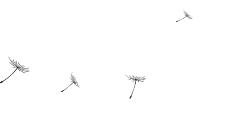 “熊猫体育”
@爱心人士 您捐赠的冬衣 特殊儿童已签收！(图32)