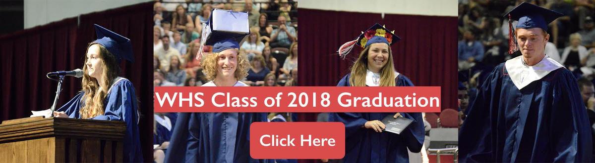 屈楚萧电影处女作《二十岁》上映 网友:吻戏太多不敢看_xiongmao体育(图1) 熊猫体育