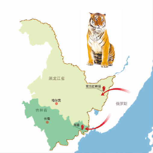 熊猫体育
