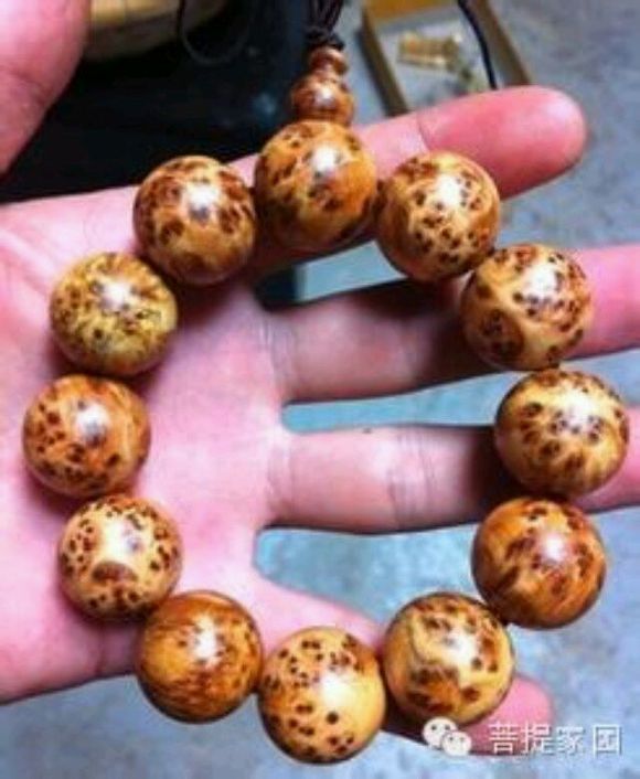 panda sports_《栀子花开》傻梦版海报很“傻萌”李易峰欲成“鸡汤大师” 张慧雯想变瓜子脸(图1) panda sports