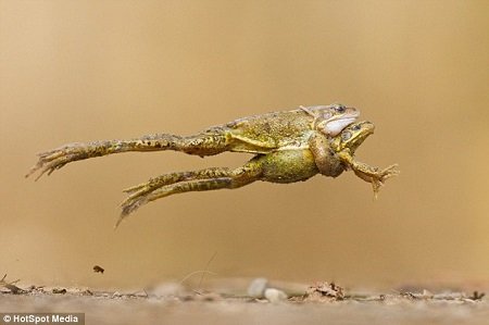 破解“幼托难题”有待制度先行_熊猫体育(图1) panda sports