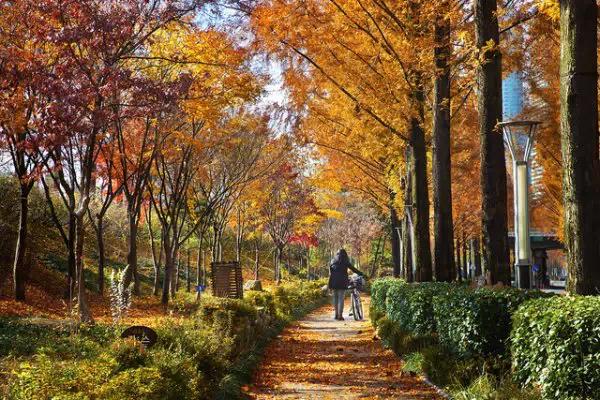 ‘panda sports’粮食价格暴涨对农民有什么影响?是好是坏?(图4) 熊猫体育